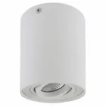 Накладной светильник Lightstar Binoco Uno﻿ 052016 Цвет арматуры белый от ImperiumLoft