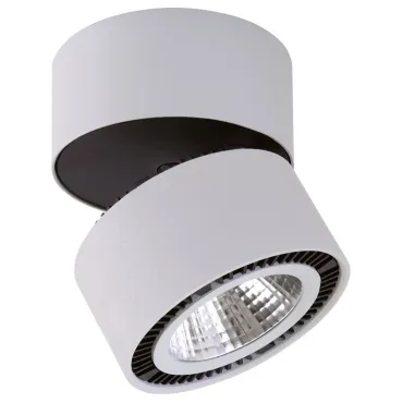 Светильник на штанге Lightstar Forte Muro LED 213830 Цвет арматуры белый