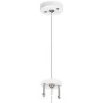 Подвес Lightstar Rullo 590056