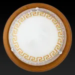 Потолочный светильник TopLight Gien TL9173Y-02OA 