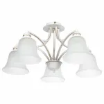 Потолочная люстра Arte Lamp Emma A2713PL-5WG 