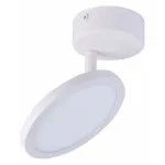 Потолочный светильник Favourite Flach 4119-1U
