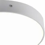 Накладной светильник Favourite Flashled 2065-30C от ImperiumLoft