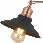Бра Arte Lamp 5067 A5067AP-1BK Цвет арматуры бронза Цвет плафонов черный