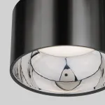 Накладной светильник Elektrostandard 1069 a053056 Цвет плафонов черный