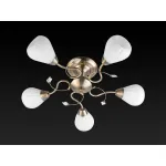 Потолочная люстра TopLight Lorin TL3570X-05AB 