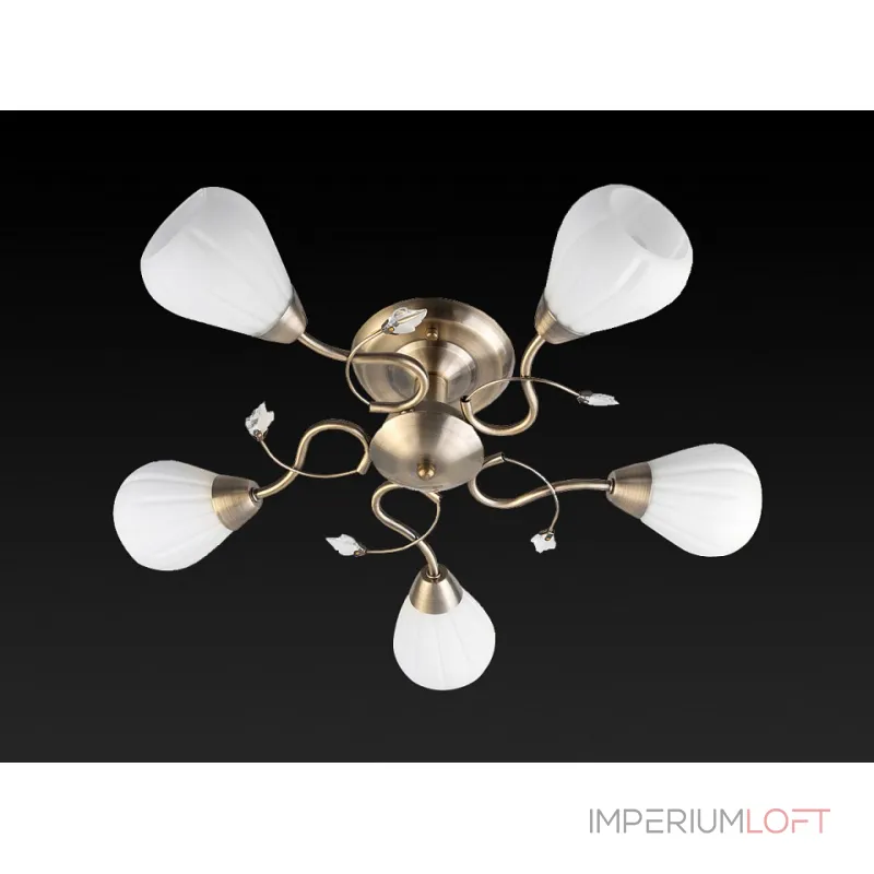 Потолочная люстра TopLight Lorin TL3570X-05AB 