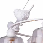 Подвесная люстра Arte Lamp Passero A4289LM-6WH Цвет арматуры белый Цвет плафонов прозрачный от ImperiumLoft