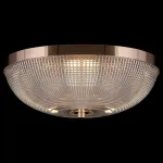 Потолочный светильник Maytoni C046CL-03G