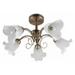 Потолочная люстра TopLight Magdalene TL3490X-05AB 