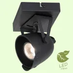 Спот Lussole GRLSP-9505 от ImperiumLoft