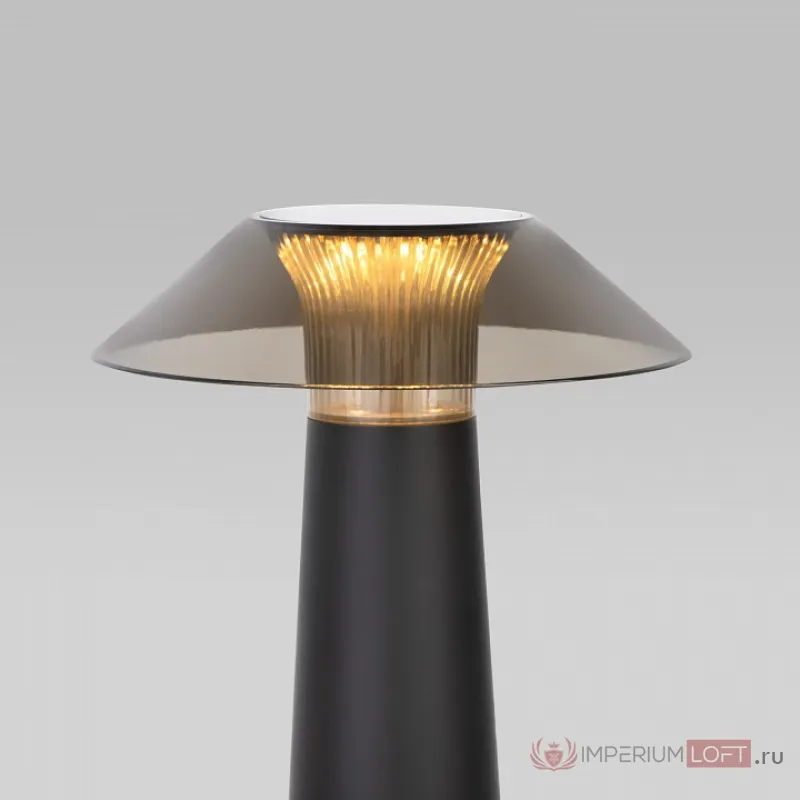 Настольная лампа декоративная Elektrostandard Future TL70200 от ImperiumLoft