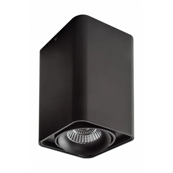 Накладной светильник Lightstar Monocco 52137 от ImperiumLoft