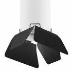 Накладной светильник Lightstar Rullo 3 R496437 Цвет плафонов черно-белый от ImperiumLoft