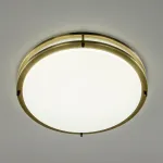 Накладной светильник Citilux Бостон CL709503N