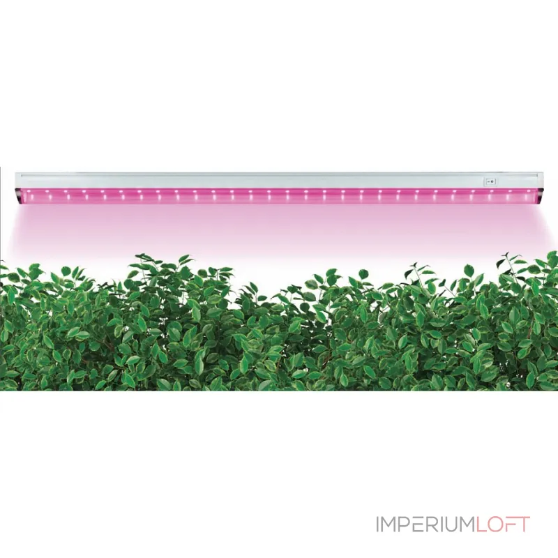 Светильник для растений Feron AL7000 29000 Цвет арматуры белый Цвет плафонов прозрачный от ImperiumLoft Светильник для растений Feron AL7000 29000 Цвет арматуры белый Цвет плафонов прозрачный от ImperiumLoft