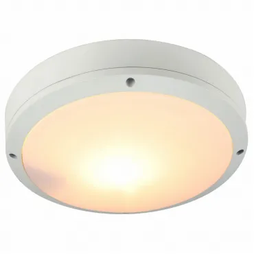 Накладной светильник Arte Lamp City A8154PF-2WH Цвет арматуры белый Цвет плафонов белый