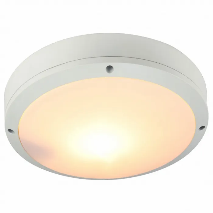 Накладной светильник Arte Lamp City A8154PF-2WH Цвет арматуры белый Цвет плафонов белый от ImperiumLoft