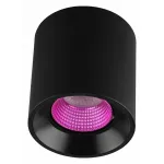 Накладной светильник Denkirs DK3020BPI DK3090-BK+PI Цвет плафонов черный