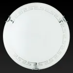 Потолочный светильник TopLight Maude TL9161Y-01WH 
