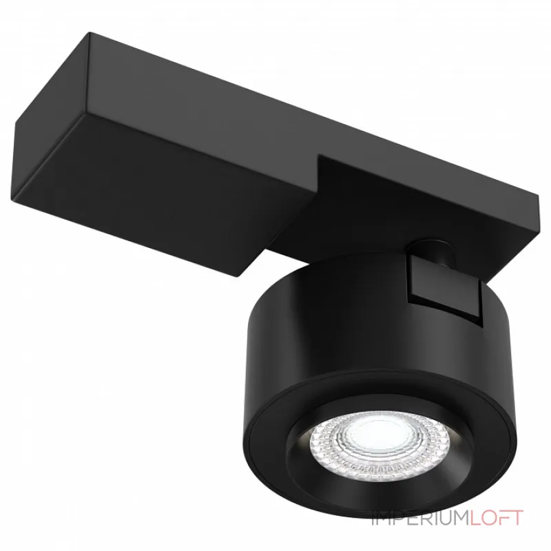 Светильник на штанге Maytoni Treo C062CL-L12B4K Цвет арматуры черный Цвет плафонов черный
