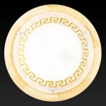 Потолочный светильник TopLight Gien TL9173Y-02PN 