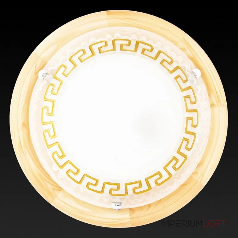 Потолочный светильник TopLight Gien TL9173Y-02PN 