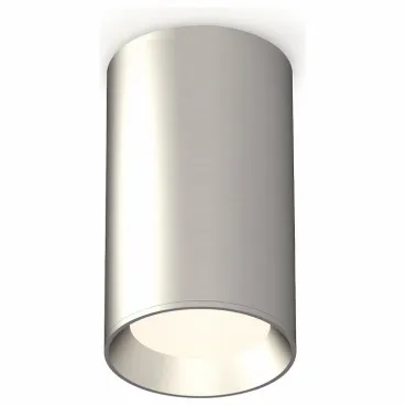Накладной светильник Ambrella Techno Spot 253 XS6324002 Цвет арматуры серебро Цвет плафонов серебро