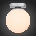 Накладной светильник EVOLUCE Acini SL717.501.01 Цвет арматуры серебро Цвет плафонов белый от ImperiumLoft