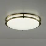 Накладной светильник Citilux Бостон CL709503N