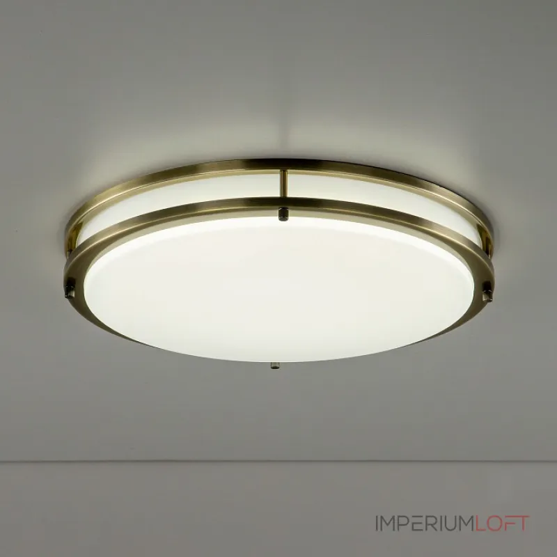 Накладной светильник Citilux Бостон CL709503N