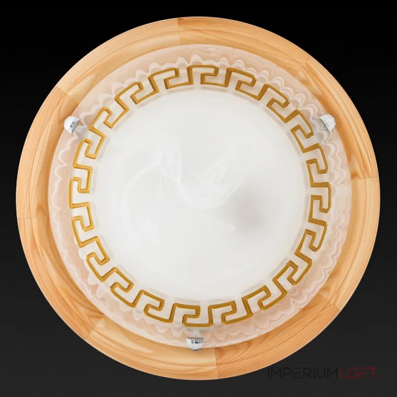 Потолочный светильник TopLight Gien TL9173Y-02PN 