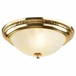 Потолочный светильник Arte Lamp Alta A3013PL-2GO 