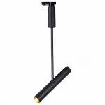 Потолочный светильник Arte Lamp 2513 A2513PL-1BK 