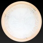 Потолочный светильник TopLight Agatha TL9260Y-00PN 