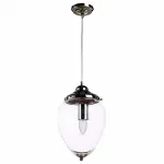 Подвесной светильник Arte Lamp Rimini 1 A1091SP-1CC 