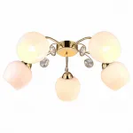 Потолочная люстра Arte Lamp Millo A9549PL-5GO 