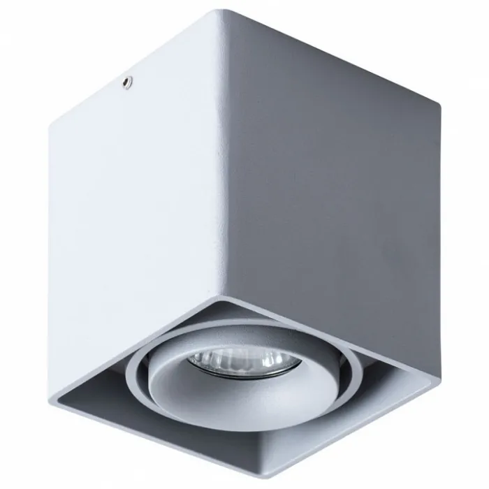 Накладной светильник Arte Lamp Pictor A5654PL-1GY от ImperiumLoft