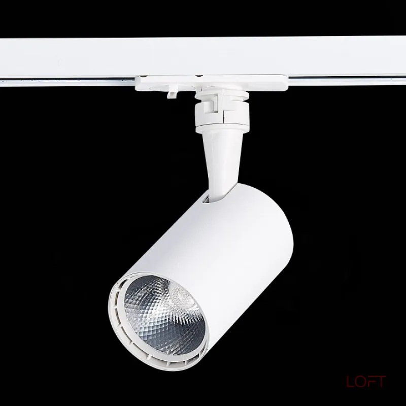 Светильник на штанге ST-Luce Cami ST351.536.10.36 Цвет арматуры белый Цвет плафонов белый