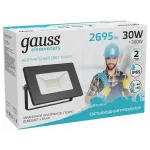 Настенно-потолочный прожектор Gauss Elementary 613100230 Цвет плафонов прозрачный