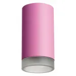 Накладной светильник Lightstar Rullo R43230