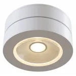 Накладной светильник Maytoni Alivar C022CL-L7W Цвет арматуры белый Цвет плафонов белый от ImperiumLoft