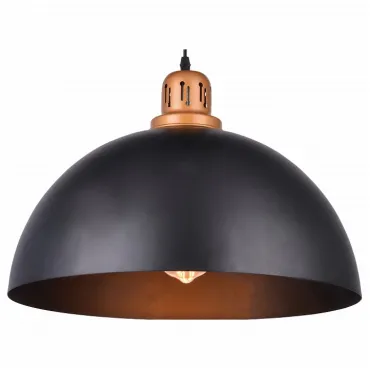 Подвесной светильник Arte Lamp Eurica A4249SP-1BK Цвет арматуры черный Цвет плафонов черный