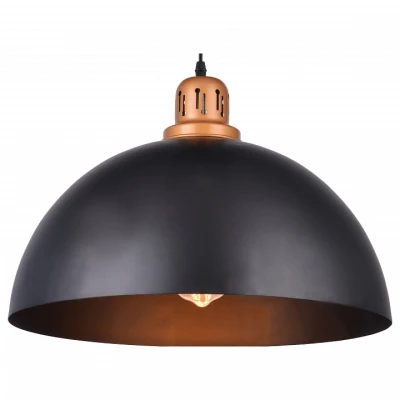 Подвесной светильник Arte Lamp Eurica A4249SP-1BK 