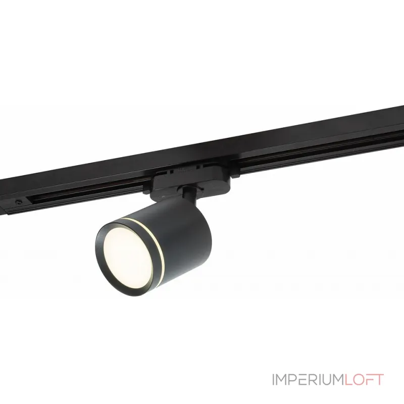Трековый светильник Denkirs DK4016 DK6400-BK Трековый светильник Denkirs DK4016 DK6400-BK