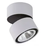 Накладной светильник Lightstar Forte 214859 от ImperiumLoft