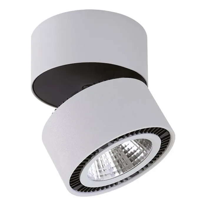 Накладной светильник Lightstar Forte 214859 от ImperiumLoft
