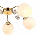 Потолочная люстра Arte Lamp Millo A9549PL-5GO 