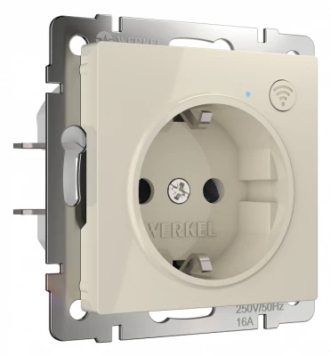 Розетка с заземлением и шторками, без рамки с Wi-Fi Werkel слоновая кость W1171603
