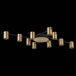Потолочная люстра ST-Luce Veroli SL1207.402.10 Цвет плафонов латунь Цвет арматуры черный от ImperiumLoft